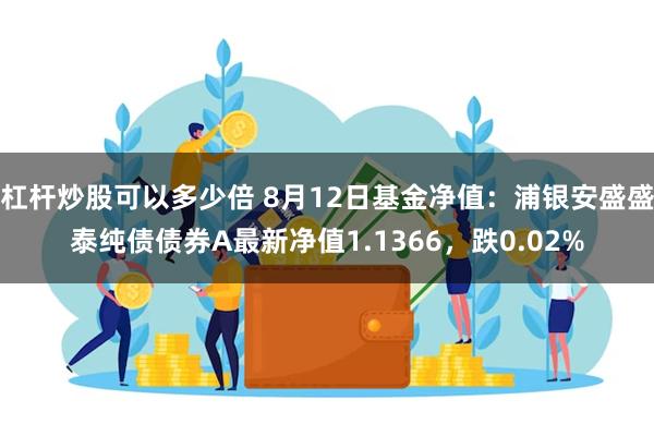 杠杆炒股可以多少倍 8月12日基金净值：浦银安盛盛泰纯债债券A最新净值1.1366，跌0.02%