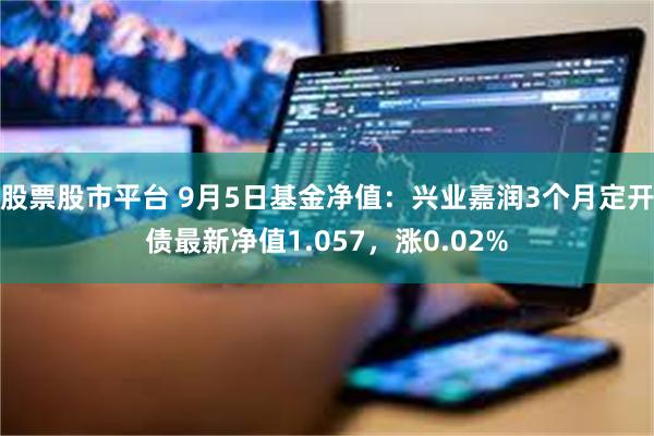 股票股市平台 9月5日基金净值：兴业嘉润3个月定开债最新净值1.057，涨0.02%