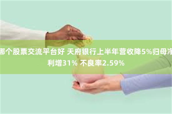 哪个股票交流平台好 天府银行上半年营收降5%归母净利增31% 不良率2.59%