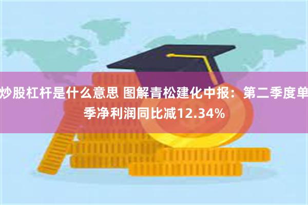 炒股杠杆是什么意思 图解青松建化中报：第二季度单季净利润同比减12.34%