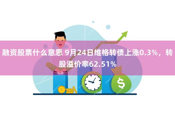 融资股票什么意思 9月24日维格转债上涨0.3%，转股溢价率62.51%