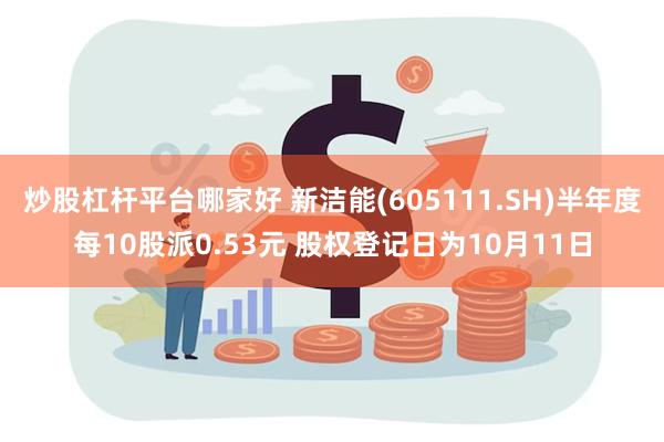 炒股杠杆平台哪家好 新洁能(605111.SH)半年度每10股派0.53元 股权登记日为10月11日