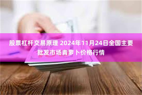 股票杠杆交易原理 2024年11月24日全国主要批发市场青萝卜价格行情