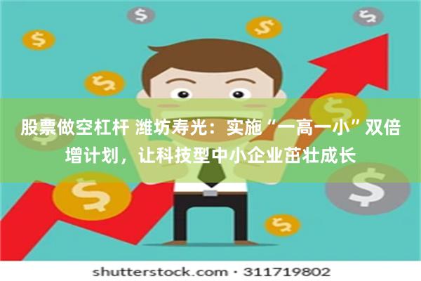 股票做空杠杆 潍坊寿光：实施“一高一小”双倍增计划，让科技型中小企业茁壮成长