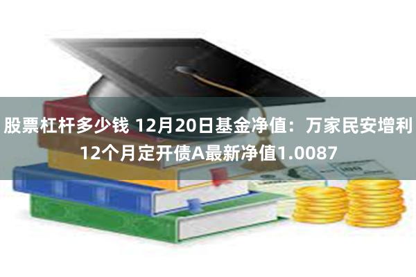 股票杠杆多少钱 12月20日基金净值：万家民安增利12个月定开债A最新净值1.0087