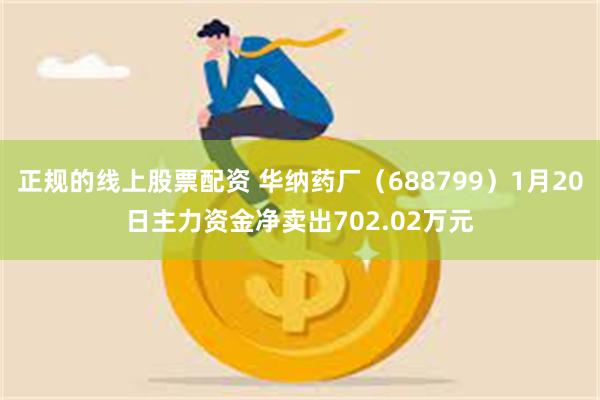 正规的线上股票配资 华纳药厂（688799）1月20日主力资金净卖出702.02万元