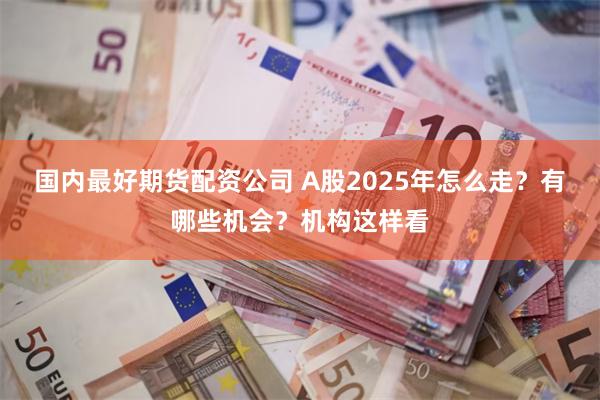 国内最好期货配资公司 A股2025年怎么走？有哪些机会？机构这样看