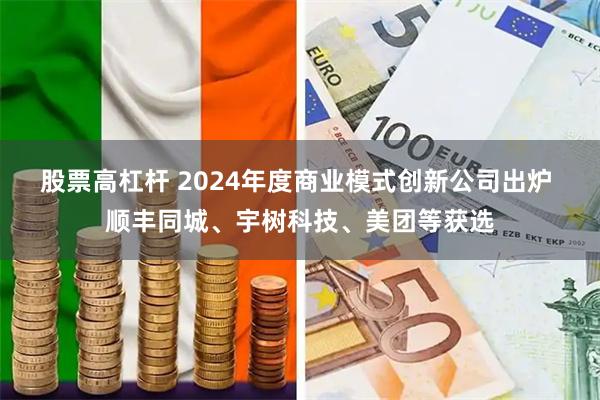 股票高杠杆 2024年度商业模式创新公司出炉 顺丰同城、宇树科技、美团等获选