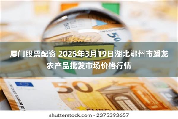 厦门股票配资 2025年3月19日湖北鄂州市蟠龙农产品批发市场价格行情